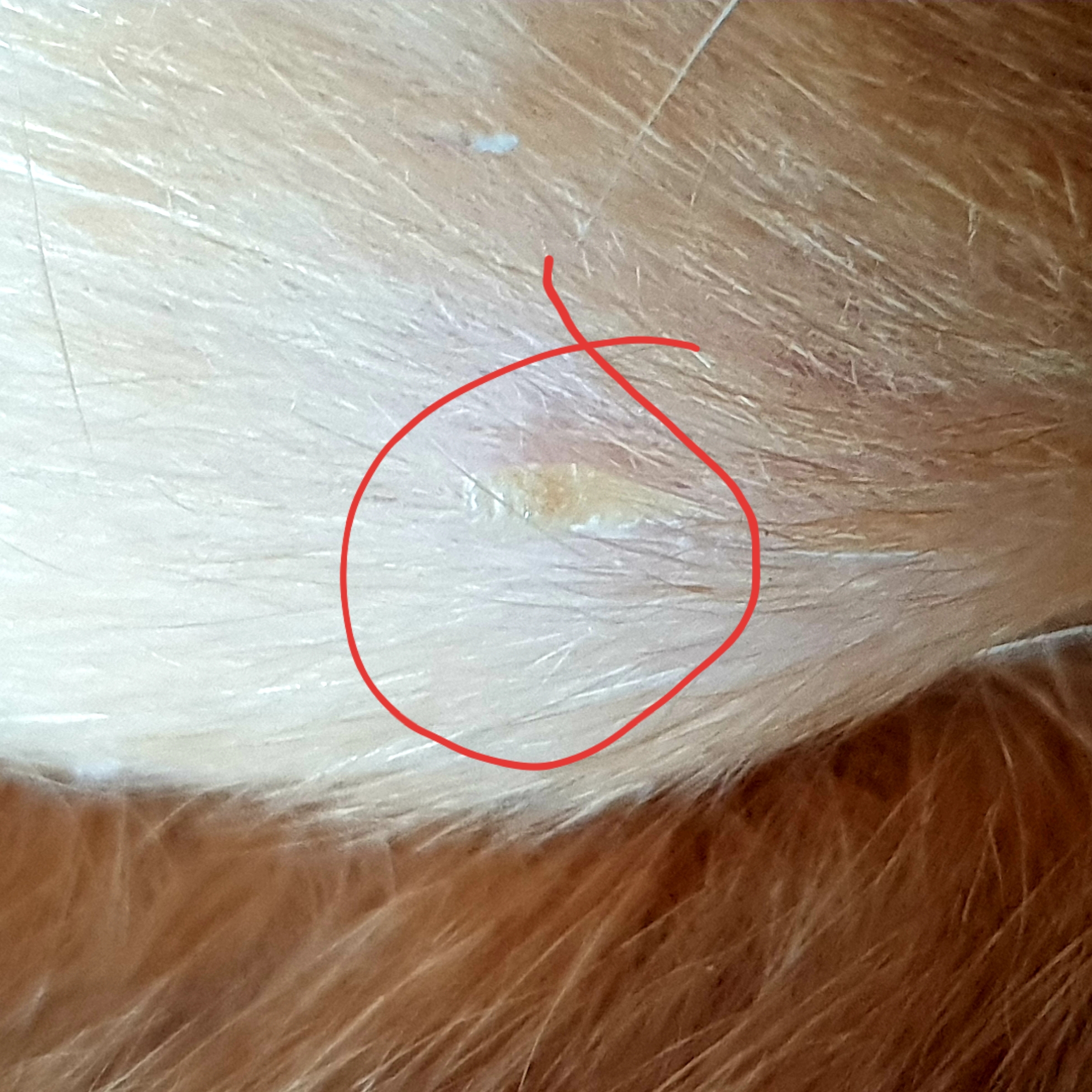 20180727_193229.jpg