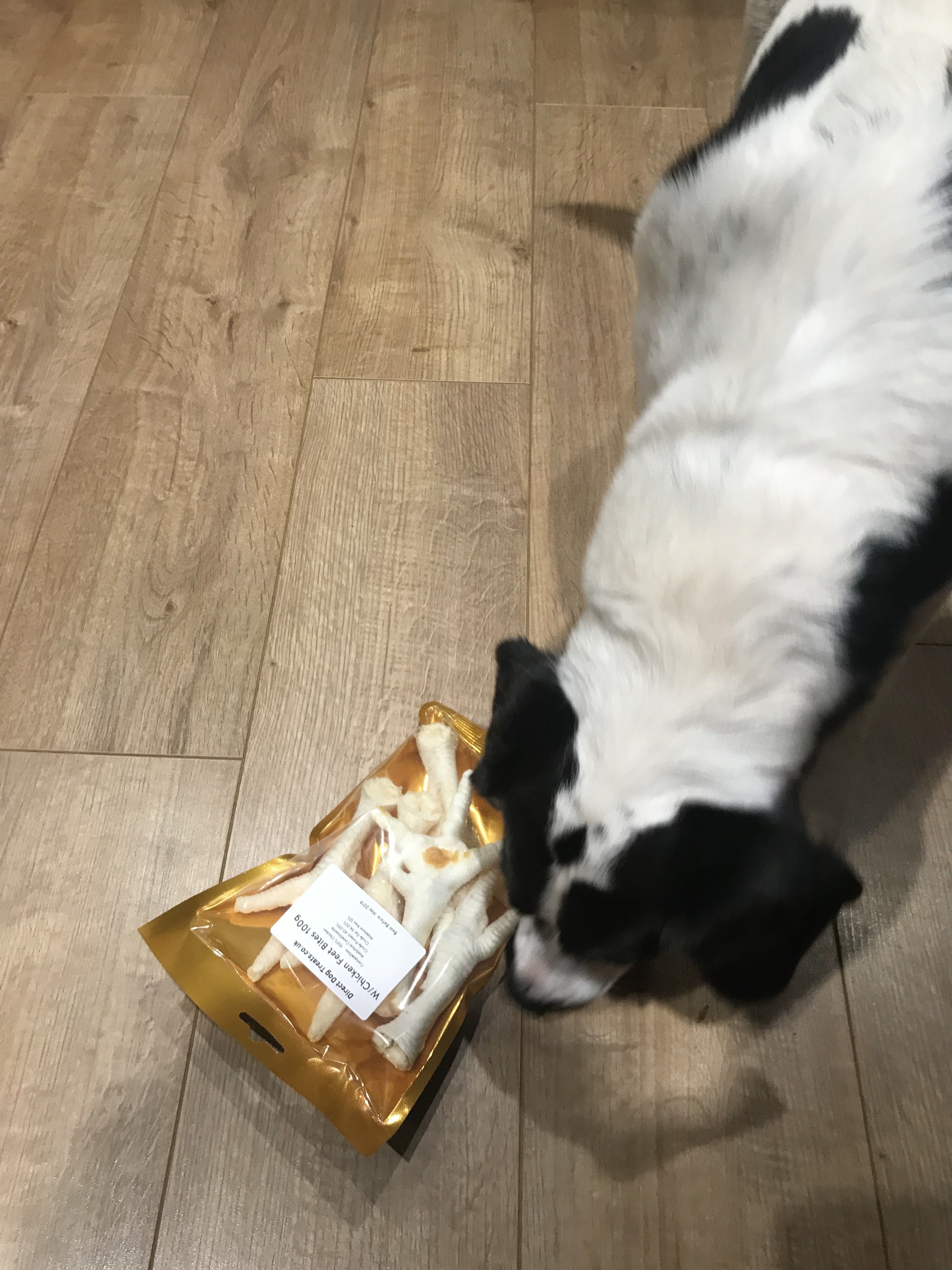 bea opening treats.jpg