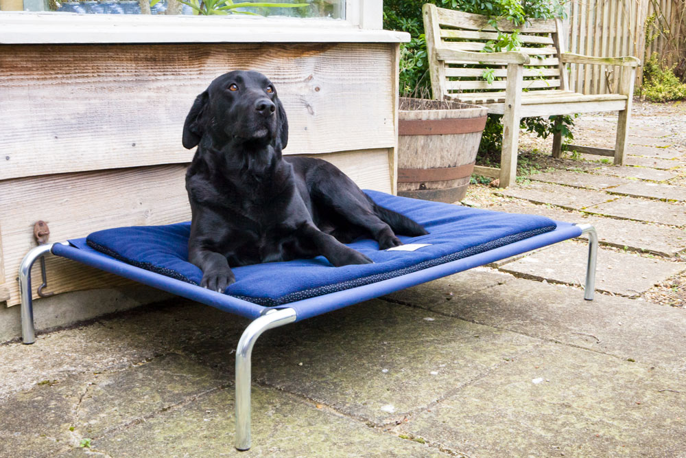 Berkeley Raised Dog Bed and Non-Slip Polar Fleece Pad.jpg