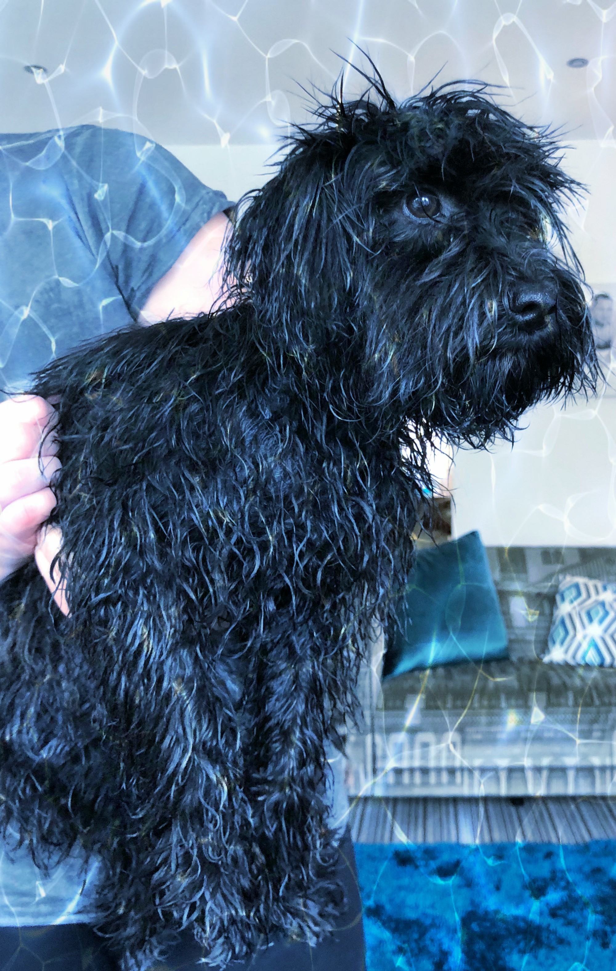 Doris had a bath1.jpg