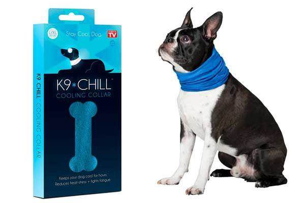 K9-Chill-Pet-Products-Dog-Cooling-Collar.jpg