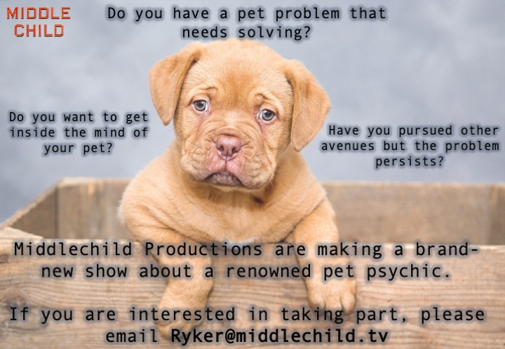 middlechild psychic casting call.jpg