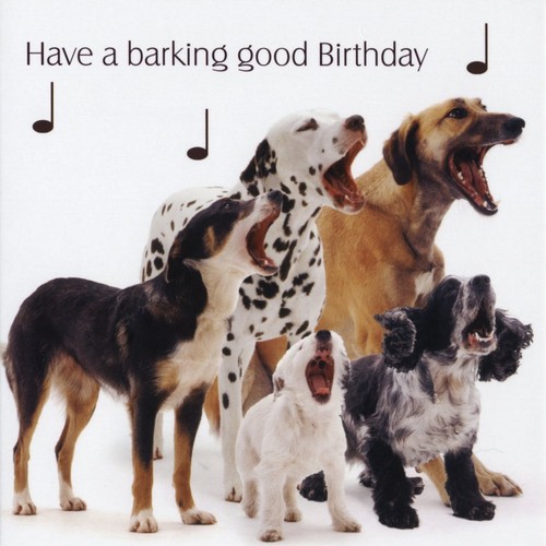 singing_dogs_happy_birthday_meme_dog1.jpg