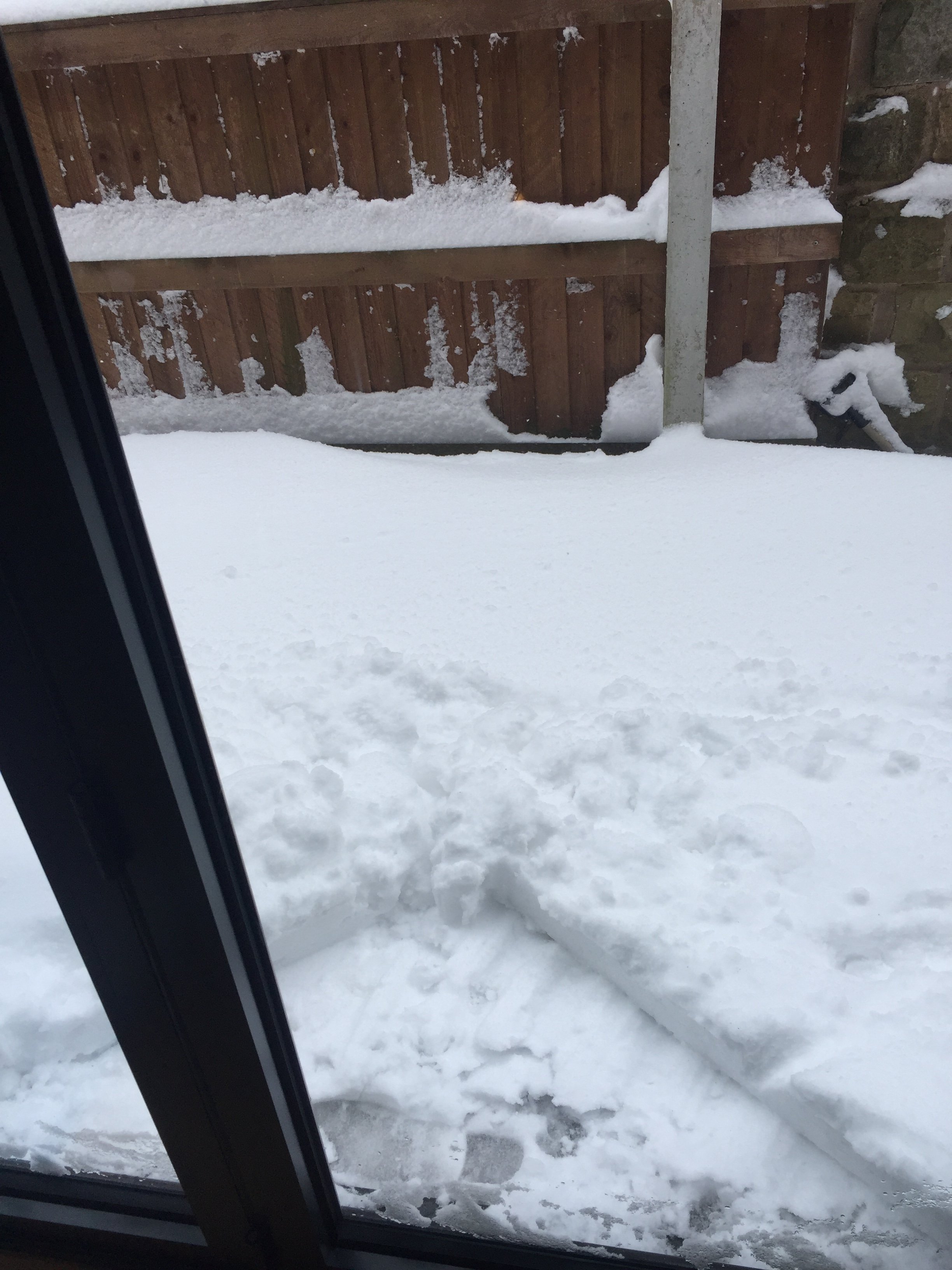 Snow 18.03.2018.JPG