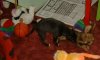 4_weeks_old_005.jpg