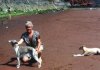 Lanny_on_Beach_at_Torquay_with_Mithrandir_dog.jpg