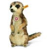 Meerkat.jpg