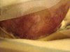 DSC00458.JPG