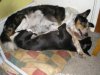 com_Bluebell_10_11_07_020.jpg