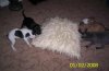 sized_Picture_032.JPG