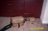 sized_Picture_036.JPG