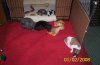 sized_Picture_041.JPG