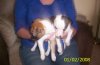 sized_Picture_037.JPG