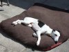 sized_Picture_008.JPG