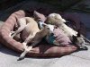 sized_Picture_009.JPG