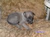 Resized_Resized_PICT0461.jpg