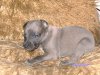 Resized_Resized_PICT0464.jpg