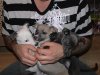 poppys_puppys_104.JPG