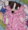 baby_coat2004_1_4_00000.jpg