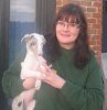 Ivy_with_canine_carer_Judith_Davidson_at_Dogs_Trust_Darlington.jpg