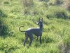 2005_0510Image0007.jpg