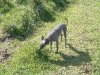 2005_0510Image0008.jpg