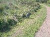 2005_0510Image0010.jpg