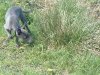 2005_0510Image0013.jpg