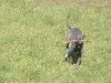 2005_0510Image0016.jpg
