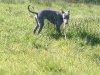 2005_0510Image0020.jpg