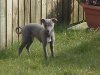 2005_03179weeks0001.JPG
