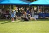 QWC_2011_041.jpg