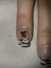 whippet_nails2.JPG