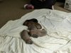 pup1 640x480.jpg