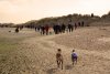 whippet-walks.jpg whippet-walks.jpg