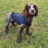 Nell wet and muddy in dark wetsuit.jpg