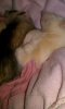 IMG_20220213_210915.jpg