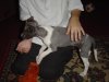 Picture_006.jpg