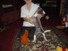 Picture_001.jpg