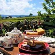 Penny Black Cottage