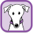 MerlinAnimalRescue