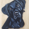 Needle Felted Pet Portraits